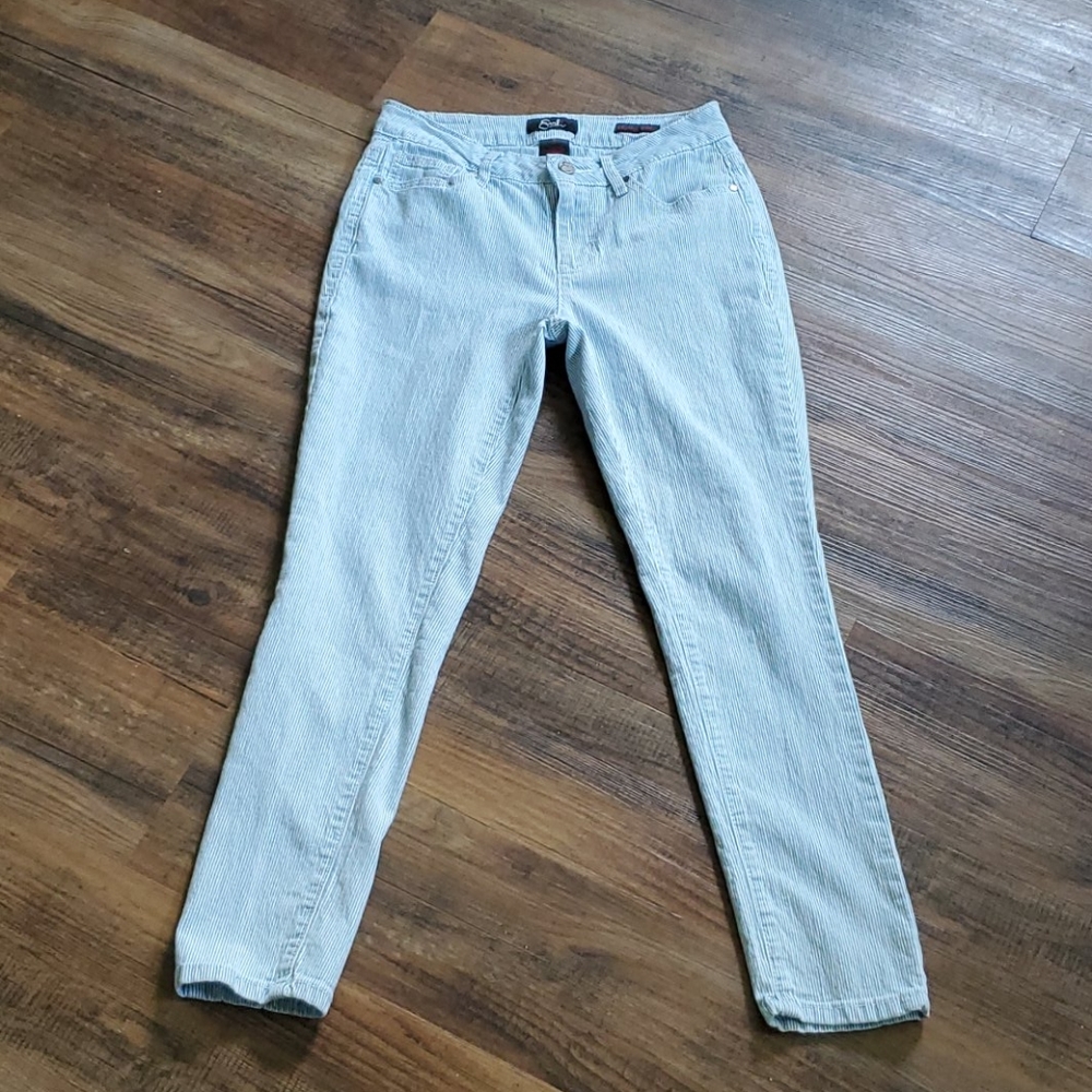 Earl Jeans blue/white striped skinny ankle sz 6.